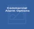 Commercial Alarm Options