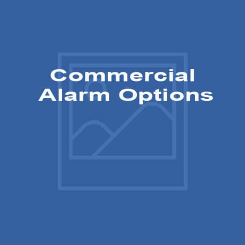 Commercial Alarm Options