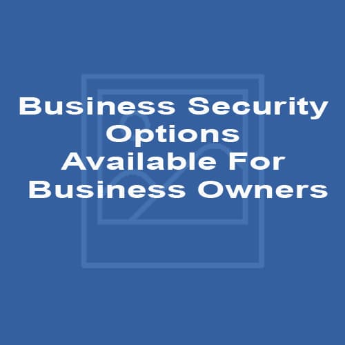 Business Security Options Available For Business Owners