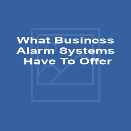 What Business Alarm Systems Have To Offer