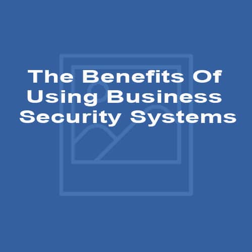 The Benefits Of Using Business Security Systems
