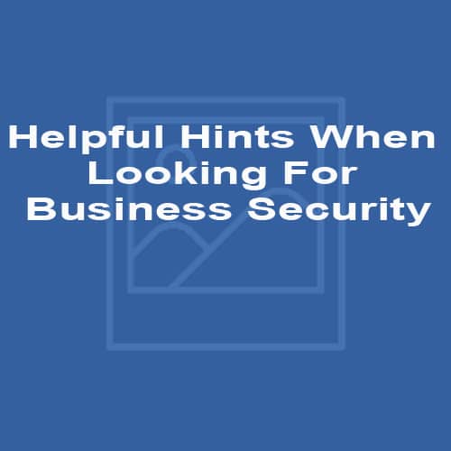 Helpful Hints When Looking For Business Security