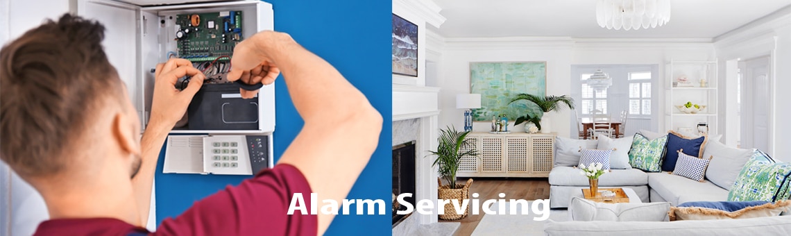 Alarm Servicing and Maintenance